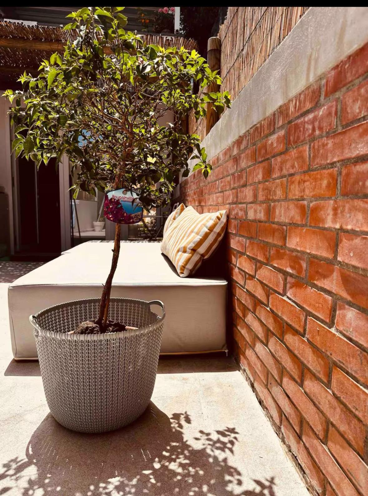 Casa Capri Mores Exterior photo